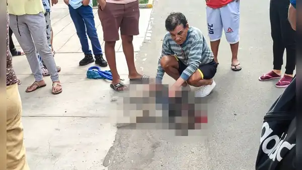 Delincuentes matan a un perro que intentó defender a su dueño de un asalto en Trujillo