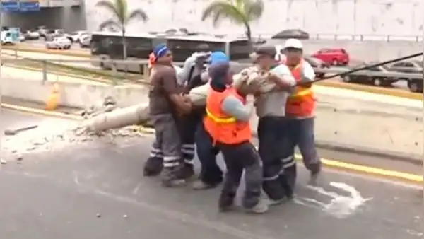 Miraflores: retiran poste caído en vía expresa Luis Bedoya Reyes luego de tres días