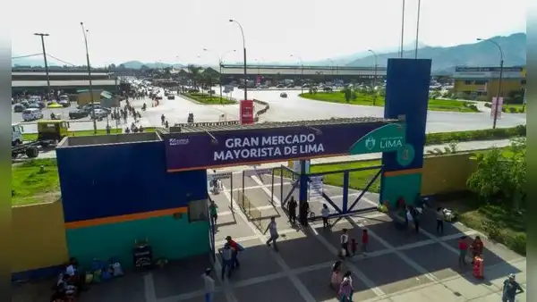 ¿Cómo llegar al Gran Mercado Mayorista de Lima ubicado en Santa Anita?: Mapa y dirección exacta