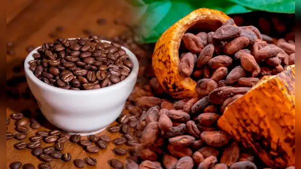 Exportaciones de productos orgánicos de origen peruano superaron los US$628 millones en el 2022