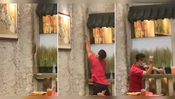 Mesero sorprende en chifa al atrapar una rata con sus manos: “El chefcito solo salió a saludar”