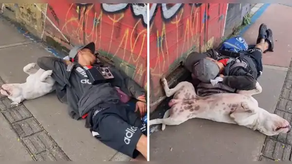 Perrito se queda dormido junto con su dueño en plena calle: “Eso es ser amigos”