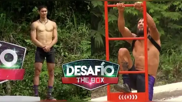 [Caracol TV] Ver "Desafío The Box" EN VIVO hoy, 21 de julio: capítulo 81