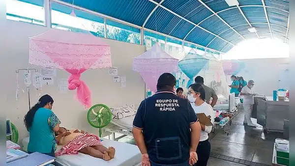 OMS advierte que casos de dengue se podrían elevar en estos meses por el Fenómeno El Niño