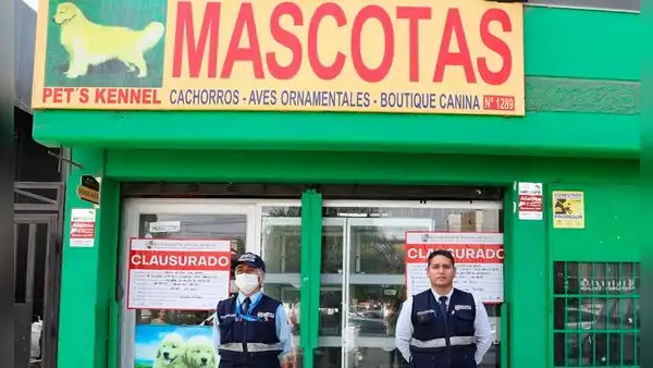 Surco: clausuran veterinaria que vendía perritos en pésimas condiciones de salud