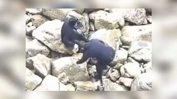 Detienen a sujetos por pescar con explosivos en la Reserva Nacional de Paracas