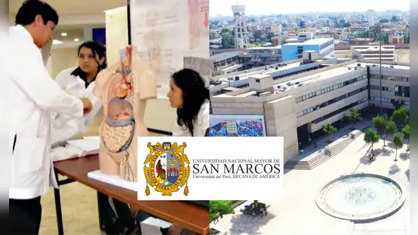 ¿Cuánto tiempo en promedio toma ingresar a Medicina en la UNMSM? Sanmarquinos lo revelan