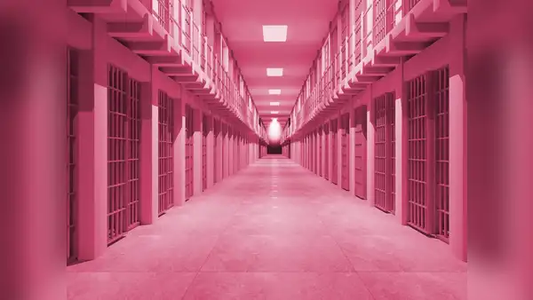 Cómo el color rosa volvió menos agresivos a los presos en Estados Unidos