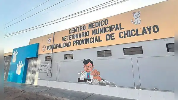 Centro Médico Veterinario de la MPCh con deficiencias