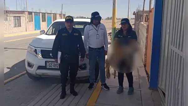 SERFOR interviene a sujeto por vender piel de zorro por WhatsApp en Arequipa