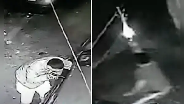 Cercado de Lima: taxista quita arma a delincuente que lo intentó asaltar y lo persigue a balazos