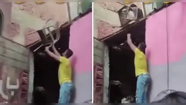 Perrito ayuda a movilizar las sillas desde el segundo piso de una casa: “Chamba es chamba”