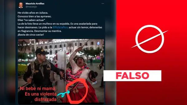 Mujer aimara agredida por la Policía no usó muñeco para "aparentar" que cargaba un niño