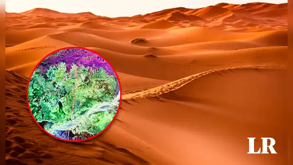 ¿Qué hay debajo de la arena del desierto? Esto es lo que encontrarías si logras cavar hasta el final