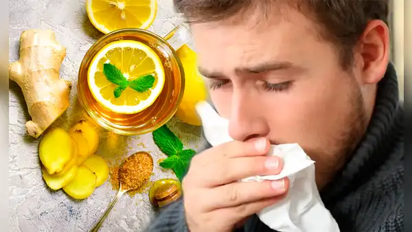 Expulsa las flemas y liberas tus vías respiratorias con estas 4 plantas medicinales