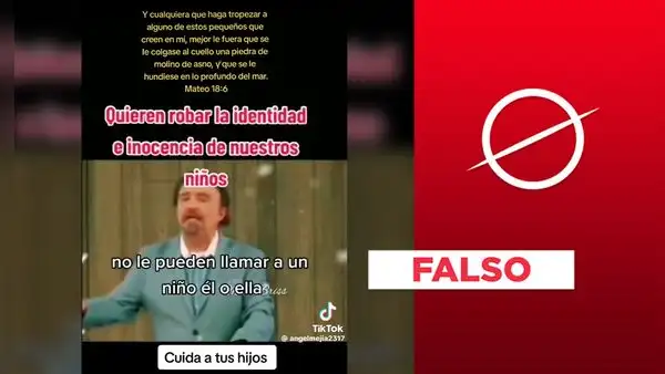 No, Disneyland no prohíbe que los menores llamen a otros niños "él" o "ella"