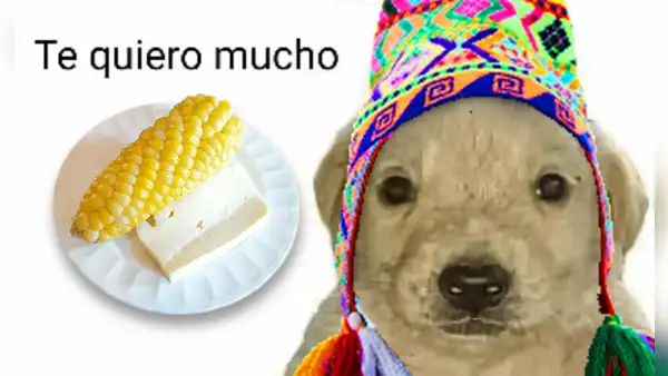 Choclo con queso dentro de los mejores platos del mundo a base del lácteo, según Taste Atlas