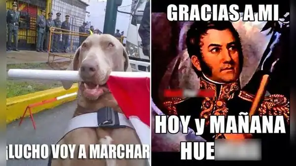 Fiestas Patrias: los memes más divertidos para compartir este 28 y 29 de julio