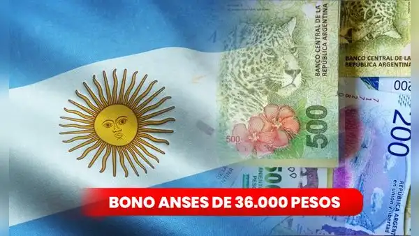 Anses agosto 2023: ¿cómo saber si me toca recibir el bono de 36.000 pesos? Fechas oficiales