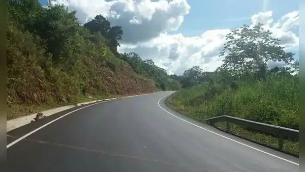 Dina Boluarte anuncia construcción de carretera Amazonas-Loreto: ¿cuál es y cuántos km medirá?