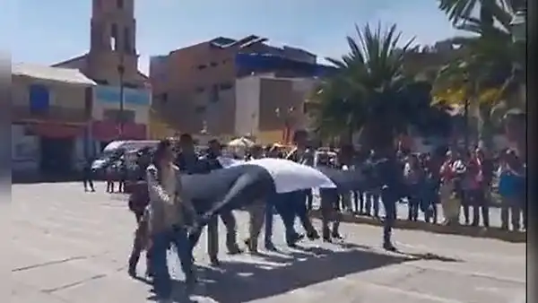 Cusco: ciudadanos desfilan con canción "Esta democracia ya no es democracia"