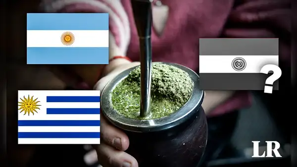 Ni Argentina ni Uruguay: ¿cuál es el verdadero origen de la popular yerba mate y cómo se consume?
