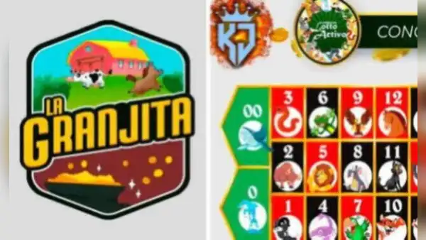 Resultados del Lotto Activo y La Granjita EN VIVO HOY, 3 de agosto