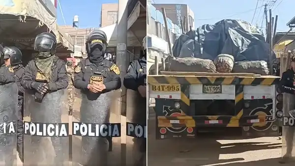 Encuentran droga en mercado de Juliaca: estupefaciente sería transportado en sacos de papa