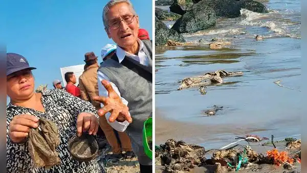 Defensoría pide a OEFA informar con urgencia sobre presencia de petróleo en playas en Ventanilla