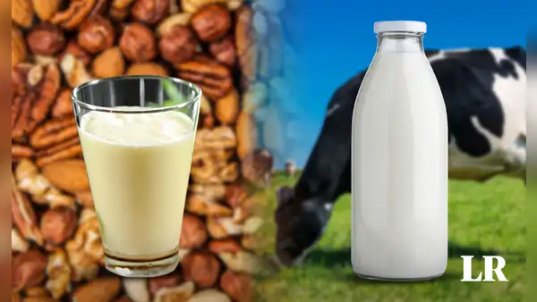 ¿La leche vegetal es capaz de sustituir a la de vaca? Estudio pone fin al debate