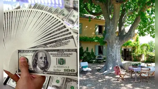 ‘Centro espiritual’ estafó a pareja con US$53.000: les dijo que había un árbol de oro en su casa