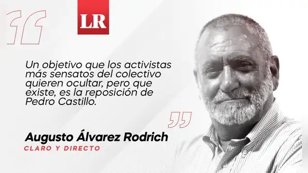 Las grietas del comando AntiDina, por Augusto Álvarez Rodrich