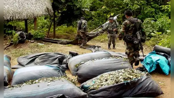 Narcotráfico en Perú: proyecto internacional revela las redes criminales que operan en la Amazonía