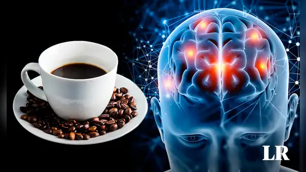 ¿Te gusta el café? Un compuesto del espresso ayuda a prevenir el alzheimer, revela un estudio