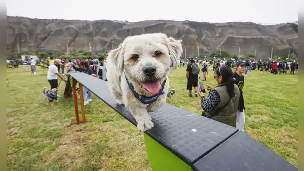 Magdalena: inauguran parque canino que estará abierto las 24 horas y será cuidado por serenazgo