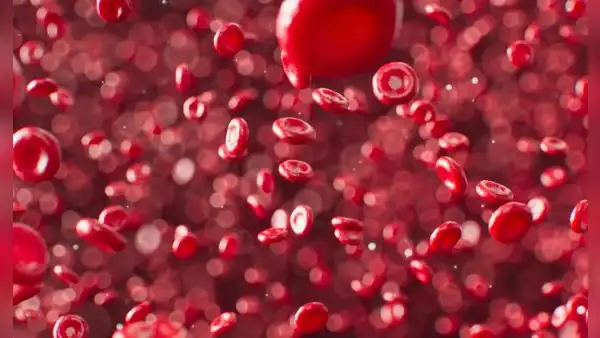 ¿Cómo saber qué tipo de sangre soy y qué representa cada uno?