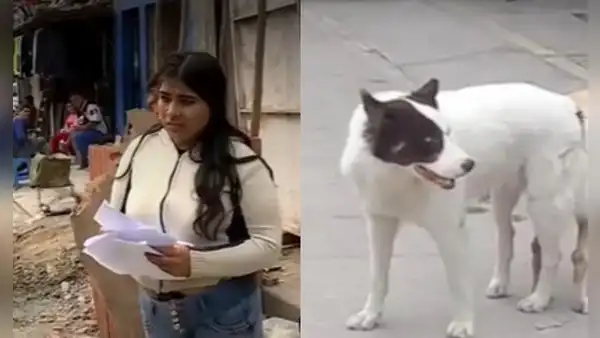 VES: denuncian que la dueña de un perro que atacó a niño de 6 años no se hace cargo de gastos médicos