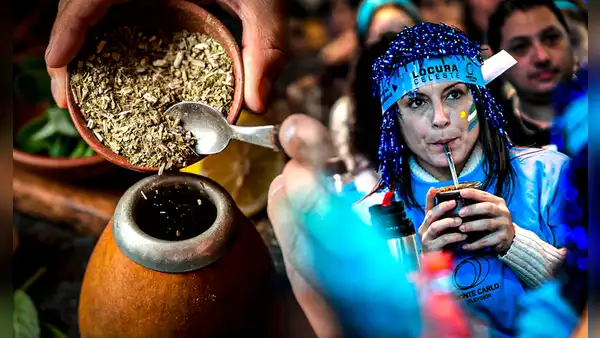 ¿Cuál es el origen de la yerba mate? Conoce la leyenda de la popular bebida