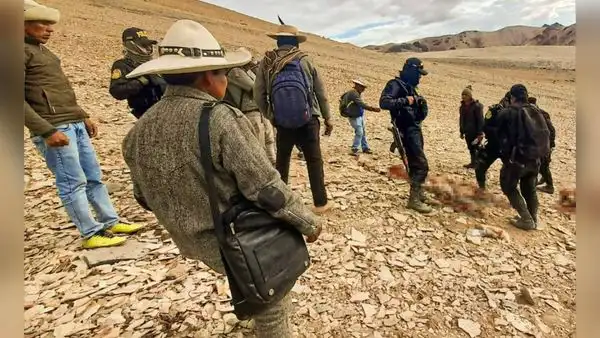 Cusco: cazadores usaron armas de fuego para matar a las vicuñas