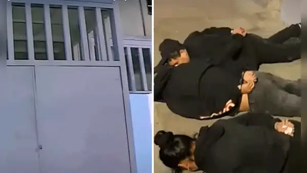 Banda criminal intentó robar equipos del Dr. Luis Quito en almacén de La Victoria
