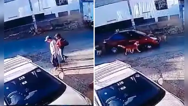 Arequipa: secuestran por un día a pareja en taxi y les roban 50.000 soles a cambio de no matarlos