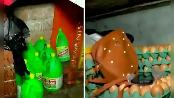 ¡Entre plumas y químicos! Operativo en mercados encontró puestos de venta insalubres en Ventanilla