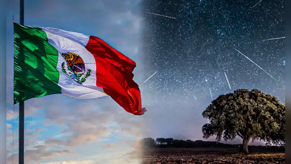 Perseidas 2023: ¿a qué hora y dónde ver la lluvia de estrellas desde México?