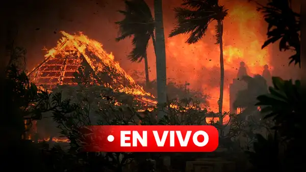 Incendios en Hawaii, últimas noticias: ascienden a 99 los fallecidos por catástrofe forestal