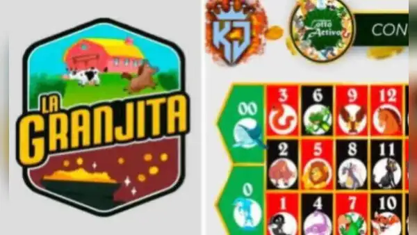 Resultados del Lotto Activo y La Granjita EN VIVO HOY, 13 de agosto