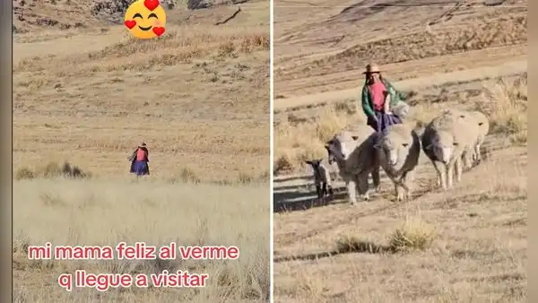 Joven sorprendió a su mamá que vive en el campo y ella corre a su encuentro: “Hermoso”