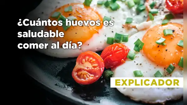 ¿Cuántos huevos es saludable comer al día? La ciencia responde