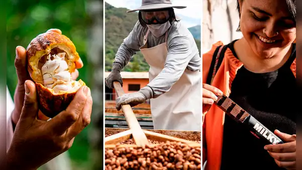 ¿Dónde nacen los chocolates más deliciosos del Perú?