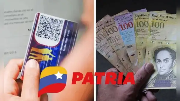 Bonos de la Patria: estos son los 6 subsidios que llegarán del 14 al 19 de agosto