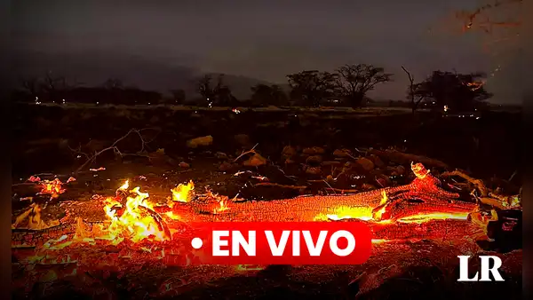 Incendios en Hawaii, últimas noticias: reportan 106 muertos por catástrofe forestal en isla de Maui